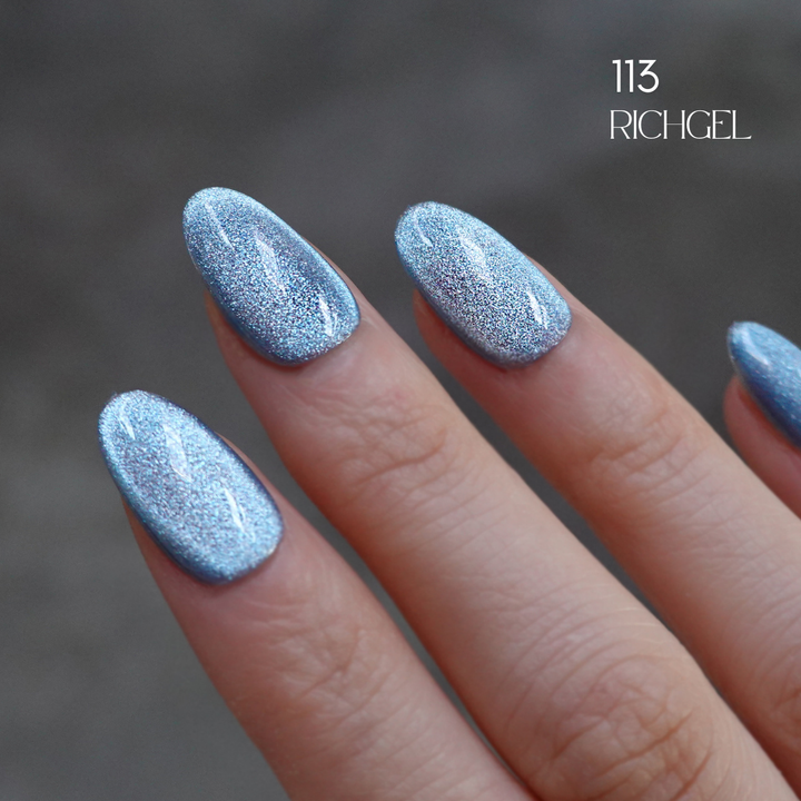 Rich Gel [RG-113] Magnet Gel Polish 12ml