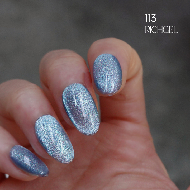 Rich Gel [RG-113] Magnet Gel Polish 12ml