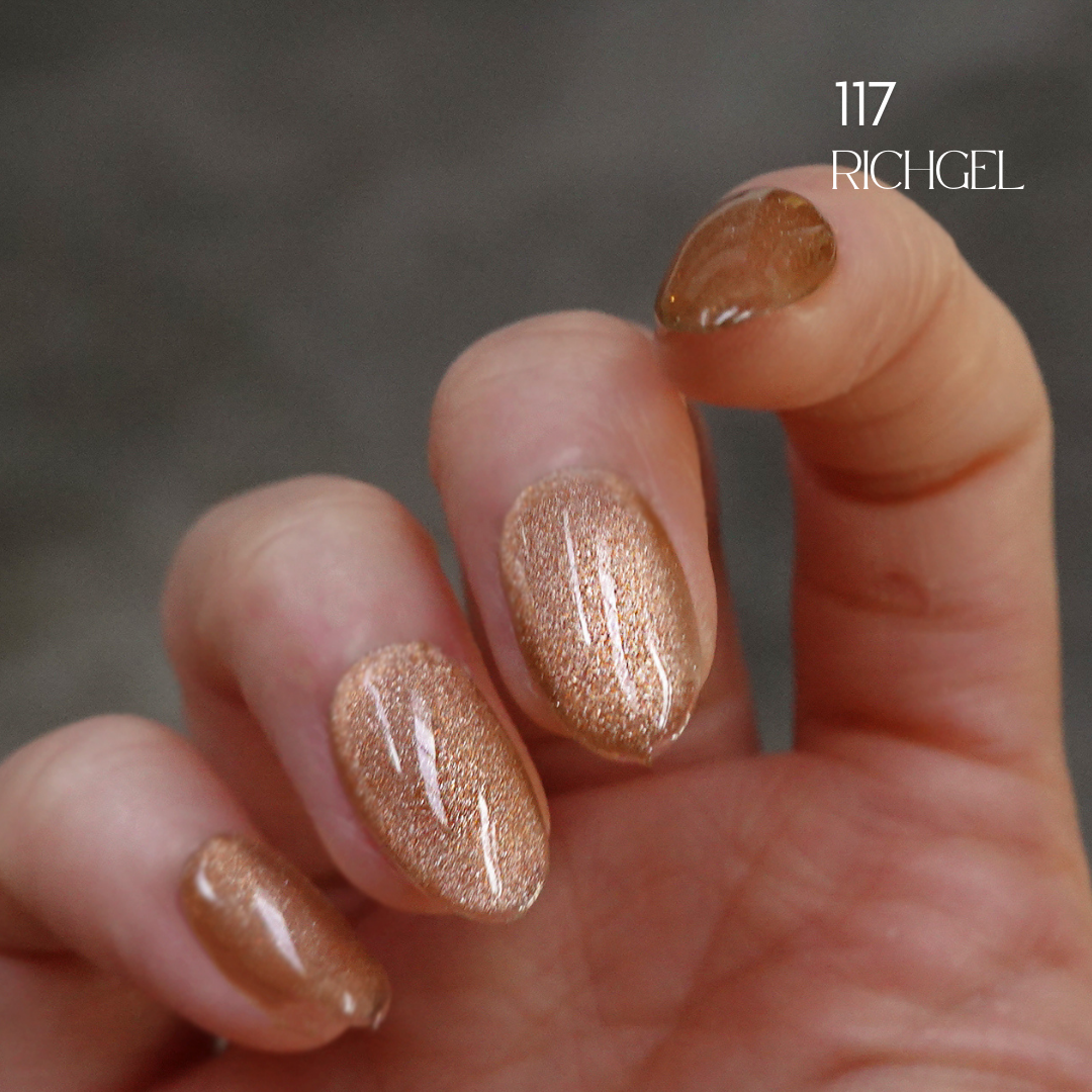 Rich Gel [RG-117] Magnet Gel Polish 12ml