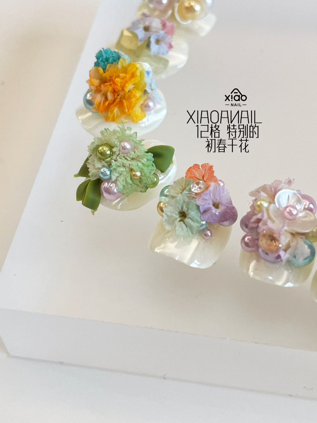 Xiao A - 12 Grid dried flower set