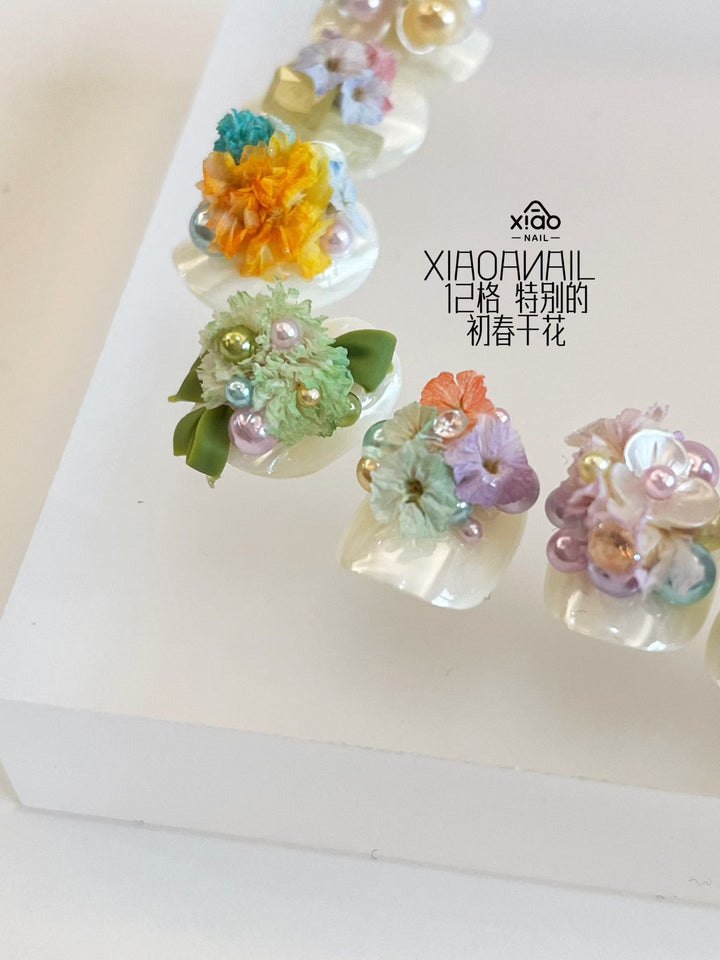 Xiao A - 12 Grid dried flower set