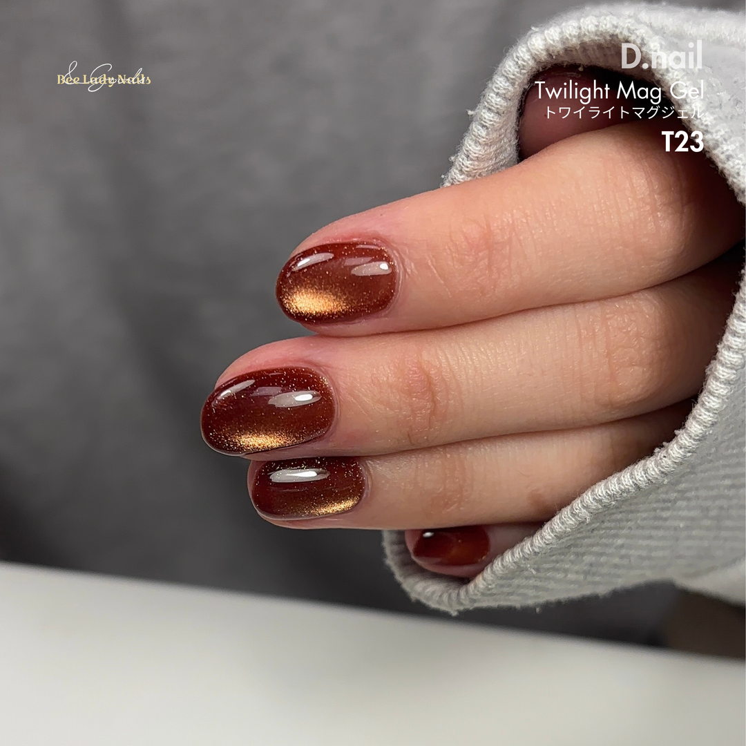 D.nail - Twilight Mag Gel トワイライトマグジェル  - T21
