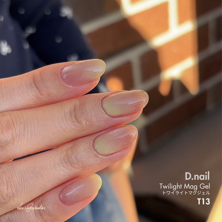 D.nail - Twilight Mag Gel トワイライトマグジェル  - T13