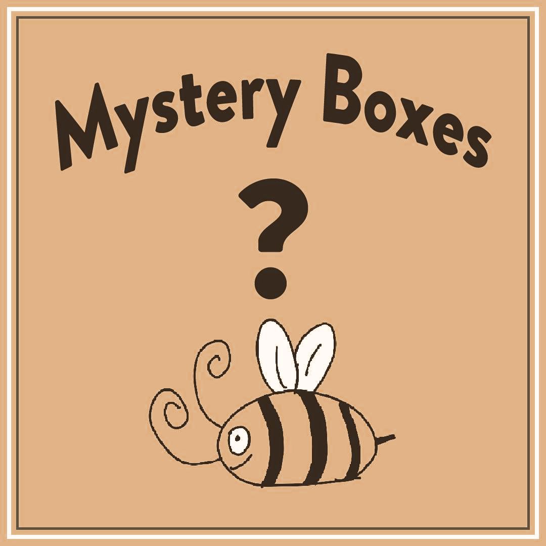 Bee Lady Nails Mystery Boxes