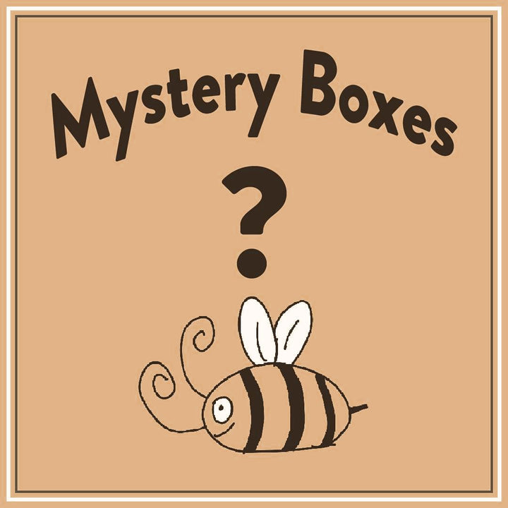 Bee Lady Nails Mystery Boxes