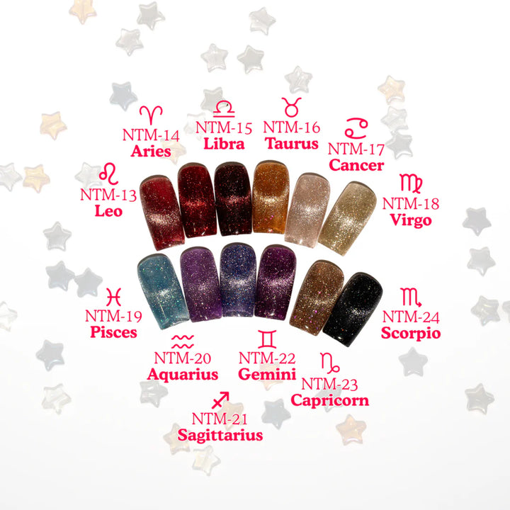 (Pre-Order) Nail Thoughts Zodiac Flash Magnetic Gel Collection