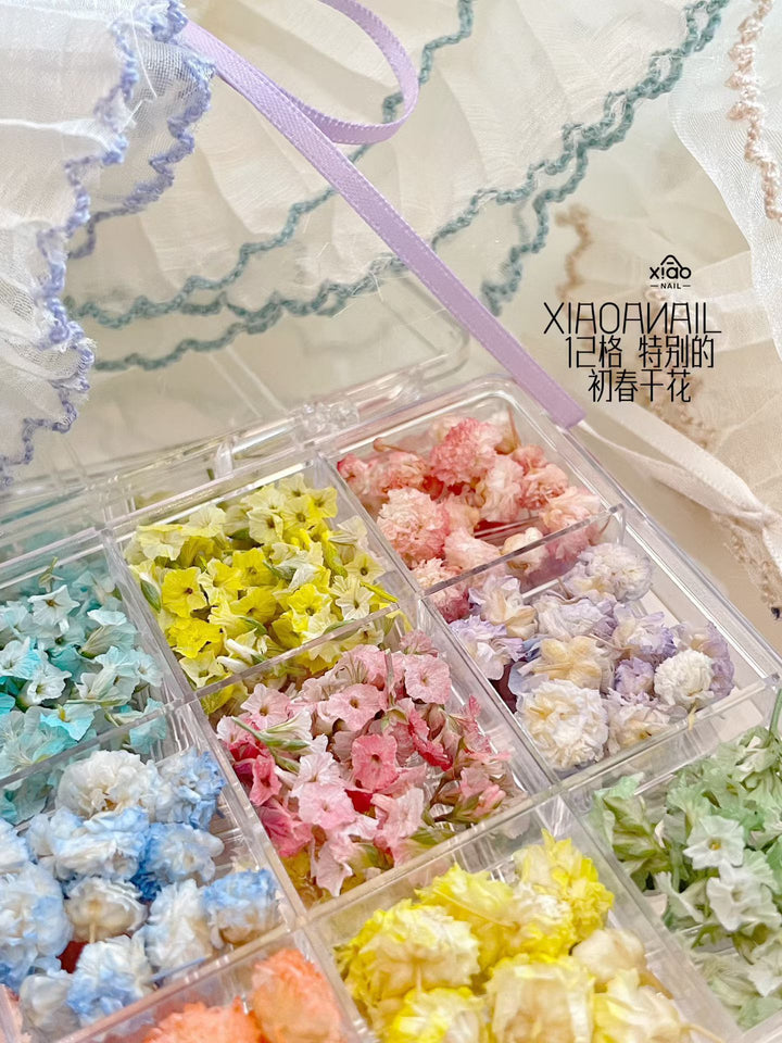 Xiao A - 12 Grid dried flower set