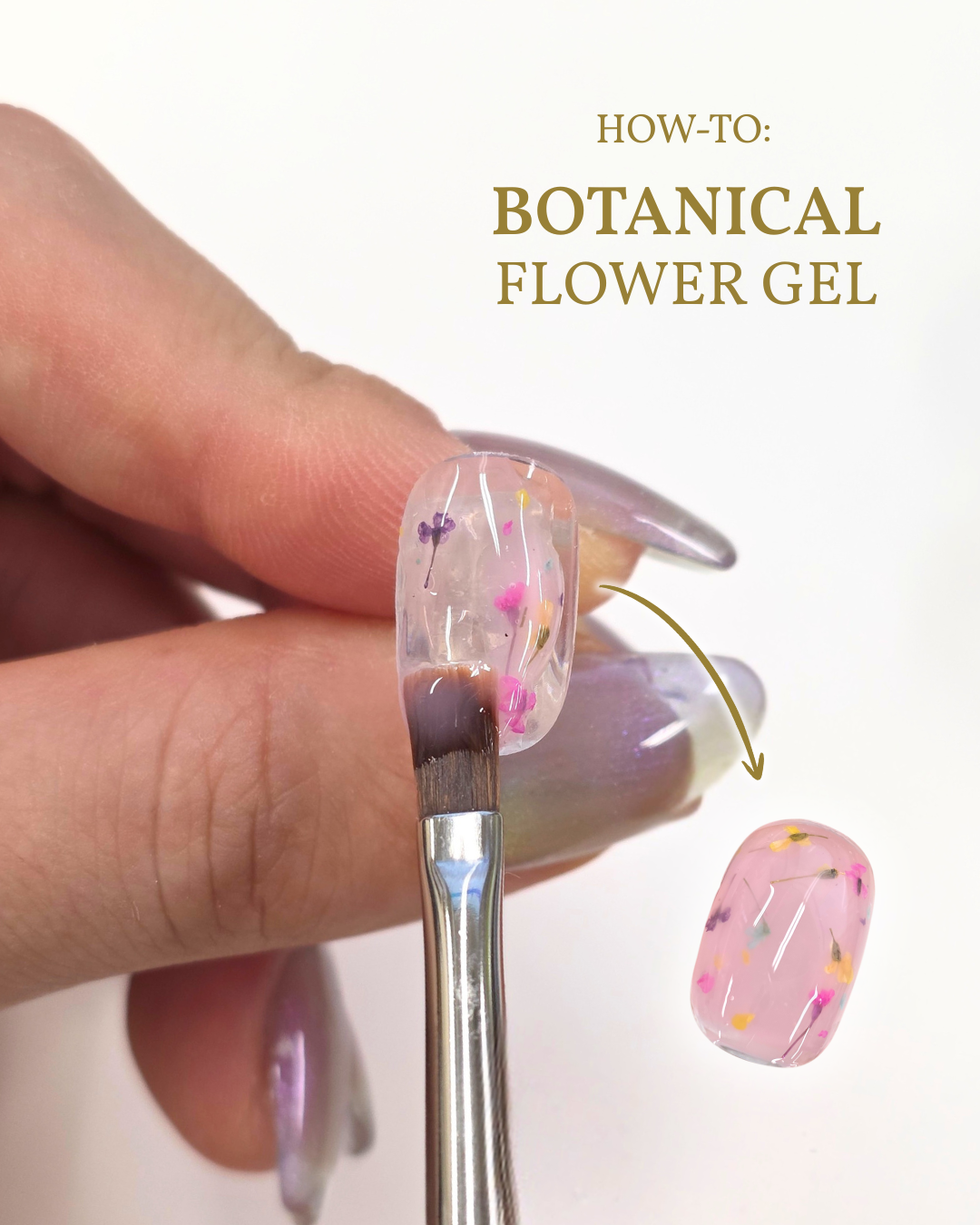 (Pre-Order) KOKOIST Botanical Flower Gel 6 Colours