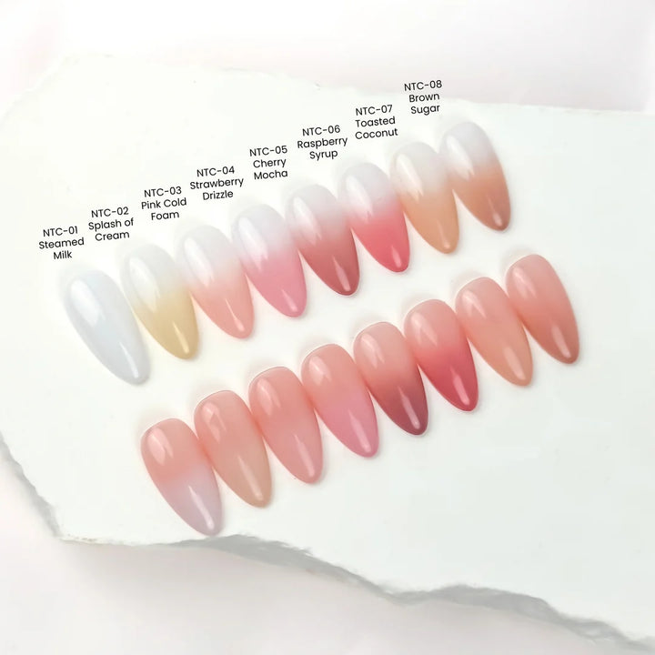 (Pre-Order) Nail Thoughts The Perfect Blend Ombré Cushion Gel Kit