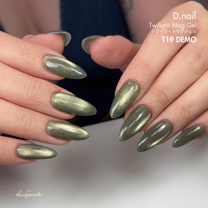 D.nail - Twilight Mag Gel トワイライトマグジェル  - T19