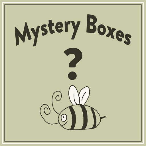 Bee Lady Nails Mystery Boxes - Bee Lady nails & goods