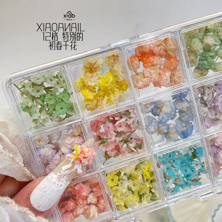 Xiao A - 12 Grid dried flower set