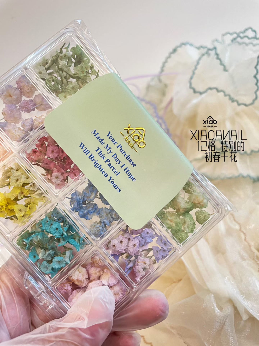 Xiao A - 12 Grid dried flower set