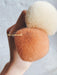 Soft Dusting Brush For Hands and Nails (Wooden/Pink) - Bee Lady nails & goods