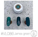 VETRO VL086A - James Green - Bee Lady nails & goods