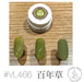 VETRO VL468A - Momotosesou - Bee Lady nails & goods