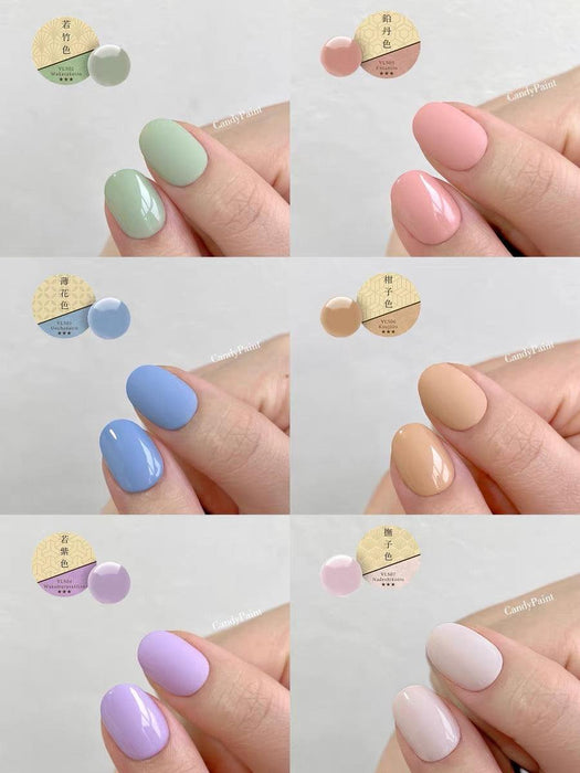 VETRO - Wasanbon Series 6 colours (2 in 1 colour line gel) - Bee Lady Nails & Goods